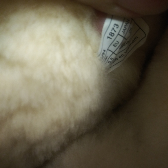 Brand new Authentic Uggs - Picture 4 of 7